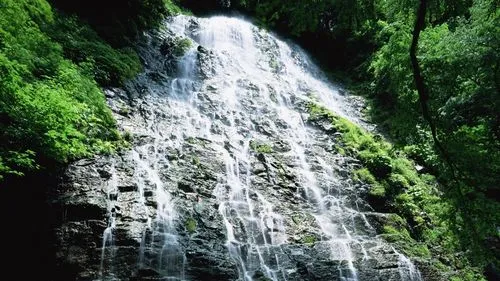 高性能智慧数字化
